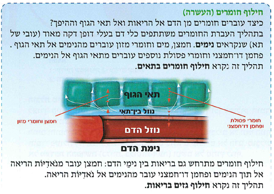 (בספר תרשים, היעזרו במנחה)